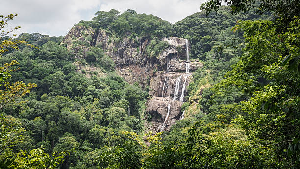 Udzungwa Mountains